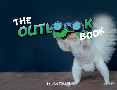 Book cover for The Outlook Book