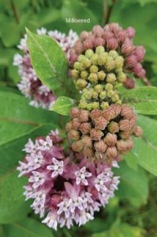 Cover of Milkweed