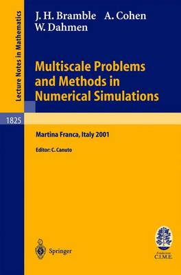 Book cover for Multiscale Problems and Methods in Numerical Simulations