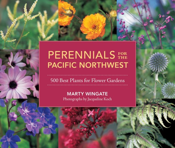 Book cover for Perennials for the Pacific Northwest