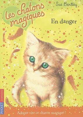 Book cover for En Danger
