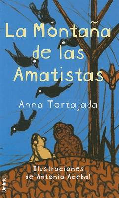 Book cover for La Montana de Las Amatistas