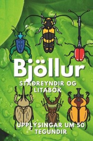 Cover of Bjöllur