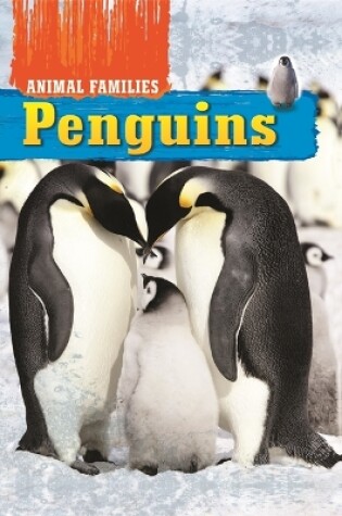Cover of Animal Families: Penguins