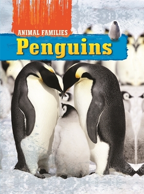 Book cover for Animal Families: Penguins