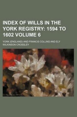 Cover of Index of Wills in the York Registry Volume 6