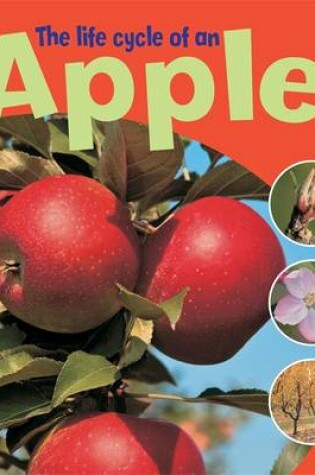 Cover of Learning About Life Cycles: The Life Cycle of an Apple