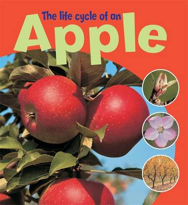 Cover of Learning About Life Cycles: The Life Cycle of an Apple