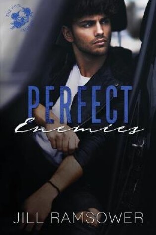 Cover of Perfect Enemies
