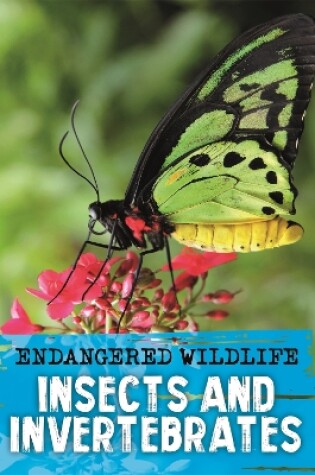 Cover of Endangered Wildlife: Rescuing Insects and Invertebrates