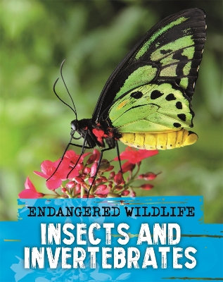 Book cover for Endangered Wildlife: Rescuing Insects and Invertebrates