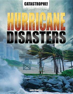 Book cover for Hurricane Disasters