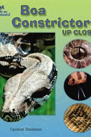 Cover of Boa Constrictors Up Close