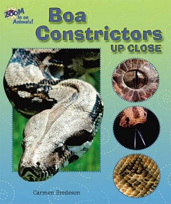 Cover of Boa Constrictors Up Close