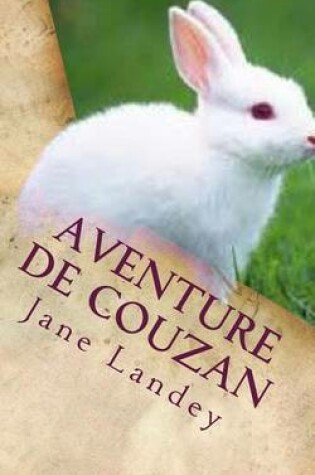 Cover of Aventure de Couzan