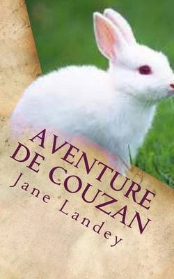 Book cover for Aventure de Couzan