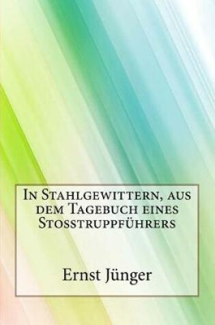 Cover of In Stahlgewittern, aus dem Tagebuch eines Stosstruppfuhrers