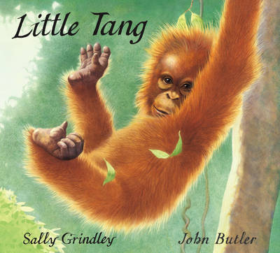 Book cover for Little Tang