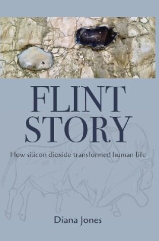 Cover of Flint Story