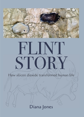 Book cover for Flint Story