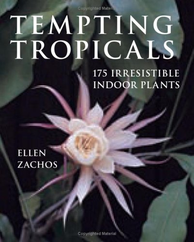 Book cover for Tempting Tropicals