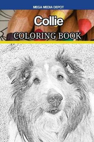 Cover of Collie Coloring Book