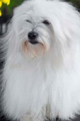 Cover of The Coton de Tulear Dog Journal
