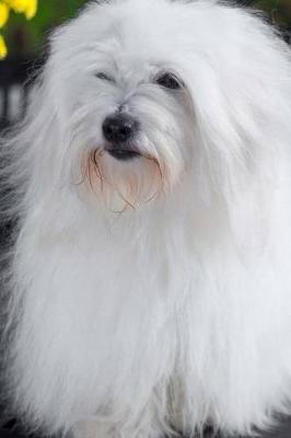 Book cover for The Coton de Tulear Dog Journal