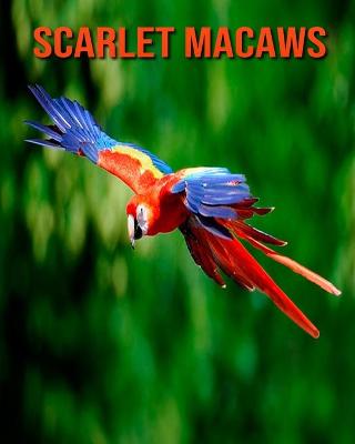 Book cover for Scarlet Macaws