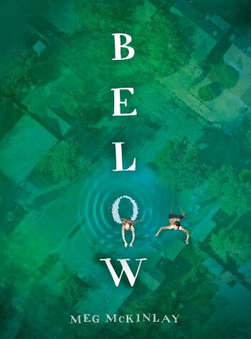Book cover for Below