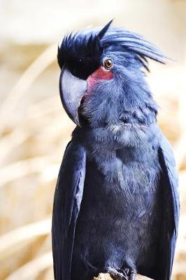 Book cover for Stunning Palm Cockatoo Perched Journal