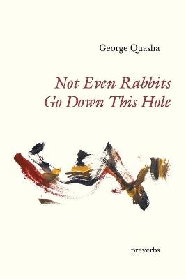 Book cover for Not Even Rabbits Go Down This Hole