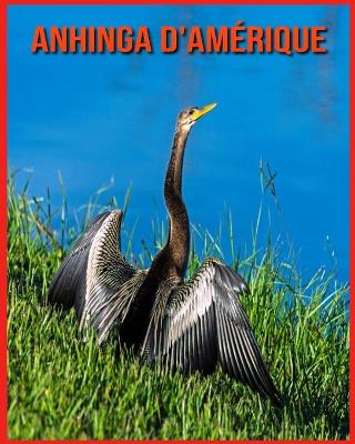 Book cover for Anhinga d'Amérique