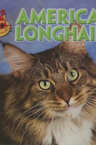 Cover of American Longhairs