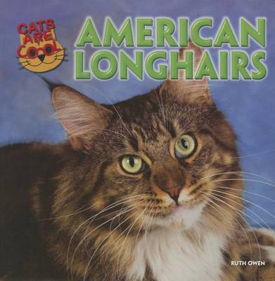 Book cover for American Longhairs