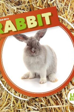 Cover of Rabbit