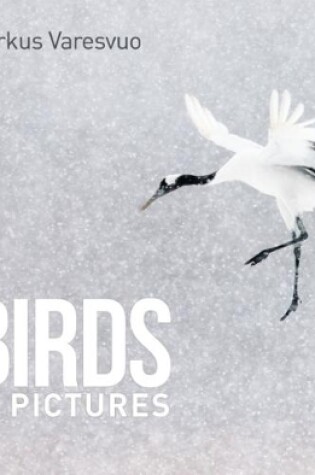 Cover of BIRDS IN PICTURES