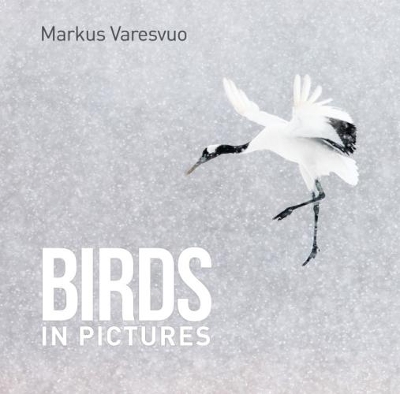 Book cover for BIRDS IN PICTURES