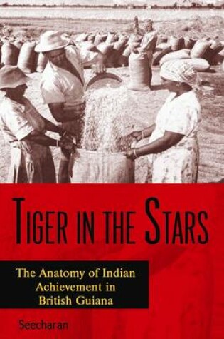 Cover of Tiger in the Stars