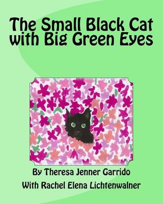 Book cover for The Small Black Cat with Big Green Eyes