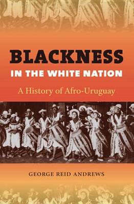 Book cover for Blackness in the White Nation
