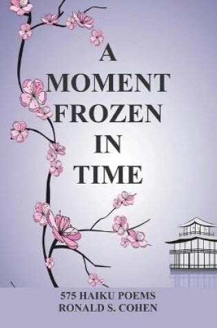 Cover of A Moment Frozen in Time