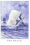 Book cover for The Whale