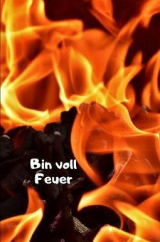 Cover of Bin voll Feuer