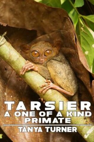 Cover of Tarsier