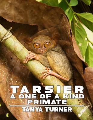 Cover of Tarsier