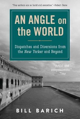 Book cover for An Angle on the World