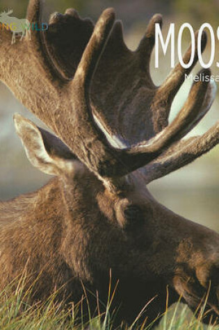 Cover of Moose