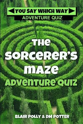 Book cover for The Sorcerer's Maze