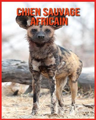 Book cover for Chien Sauvage Africain